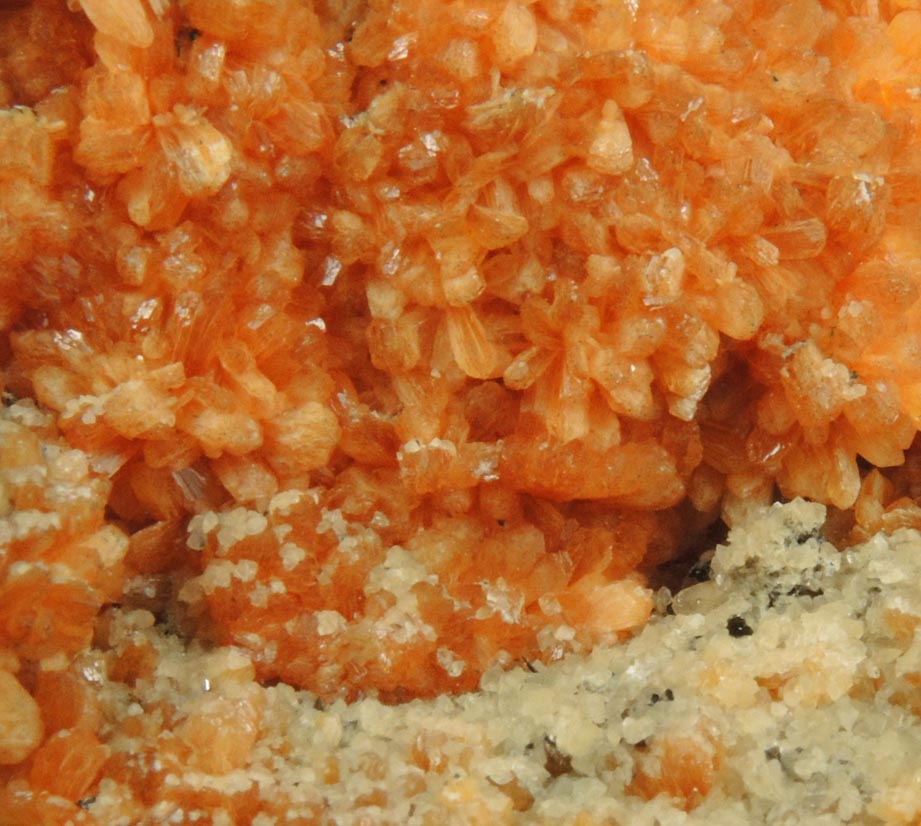 Detail view of mineral Stilbite-Ca and Calcite for sale from Water Tunnel No.3 under Manhattan Island, New York City, New York County, New York
