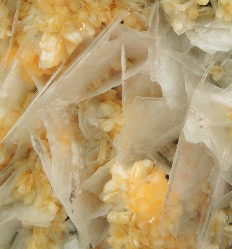 Detail view of mineral Stilbite-Ca and Calcite for sale from Water Tunnel No.3 under Roosevelt Island, New York City, New York County, New York