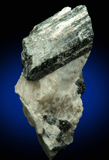 Schorl Tourmaline for sale from Harlem Meer, in the northeast corner of Central Park, New York City, New York County, New York