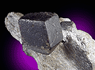 Mineral specimen: Almandine Garnet from Greens Farm Garnet Mine, Roxbury, Connecticut.