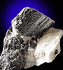 Mineral specimen: Schorl Tourmaline from Harlem Meer Construction site, Central Park, Manhattan, New York.