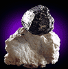 Mineral specimen: Schorl Tourmaline from N. spur of Long Hill, Haddam, Connecticut.
