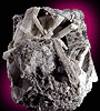 Mineral specimen: Scapolite and Vesuvianite from Goodall Quarry, Sanford, Maine.