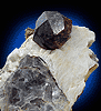 Mineral specimen: Almandine Garnet in Albite from Power Line Quarries, Topsham, Maine.
