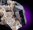 Mineral specimen: Schorl in Albite from Harvard Quarry, Greenwood, Maine.