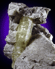 Mineral specimen: Beryl var. Heliodor from Slocum Beryl Prospect, Wopowog, Moodus, Connecticut.