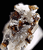 Mineral specimen: Uvite / Dravite Tourmaline from Inwood Hill Park, Manhattan Island, New York City, New York.