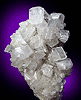 Mineral specimen: Calcite from RR cut, east shore of Hudson River, Anthony's Nose, Putnam County, New York.