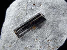 Mineral specimen: Uvite / Dravite Tourmaline from Inwood Hill Park, Manhattan Island, New York City, New York.