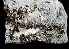 Mineral specimen: Uvite / Dravite Tourmaline from Inwood Hill Park, Manhattan Island, New York City, New York.