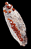 Mineral specimen: Vanadinite from J. C. Holmes claim, Patagonia, Arizona.