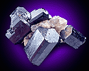 Mineral specimen: Schorl, terminated crystals from Harvard Quarry, Greenwood, Maine.