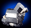 Mineral specimen: Schorl, terminated crystals from Harvard Quarry, Greenwood, Maine.