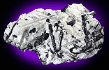Mineral specimen: Schorl in Albite from La Flamme Quarry, Minot, Maine.