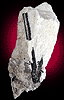 Mineral specimen: Schorl in Albite from La Flamme Quarry, Minot, Maine.
