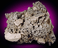 Mineral specimen: Quartz var. Smoky, Cleavlandite and Microlcline from Oliver Diggings, Middle Moat Mtn., Hales Location, New Hampshire.