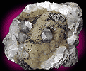 Mineral specimen: Apophyllite and Pyrite on Pectolite from Millington Quarry, Millington, New Jersey.